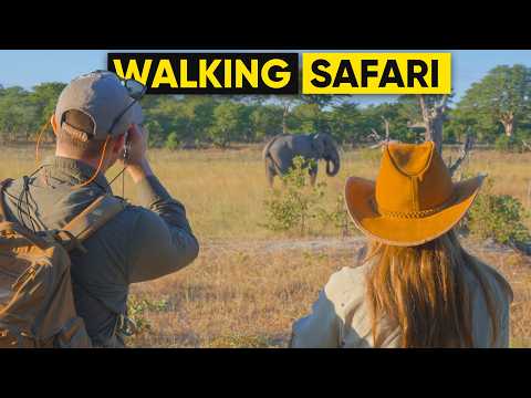 We Tried Our First Walking Safaris at Camp Hwange, Zimbabwe!