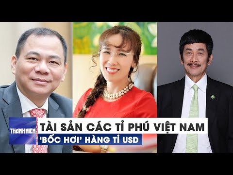 Video Tài sản các tỉ phú Việt Nam 'bốc hơi' hàng tỉ USD - youtube