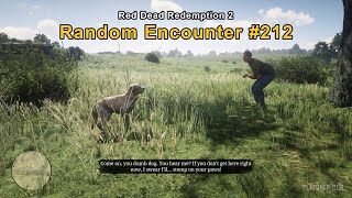 Missing dog at Emerald Ranch - Random Encounter #212 - Red Dead Redemption 2