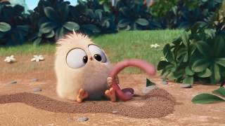 EL POLLITO Y LA LOMBRIZ - la cría temprano obtiene el gusano 🐥🐛 screenshot 2