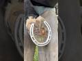 #JasonDeruloTV // Hoof Cleaning Time! @samdracott_farrier #SlowLow