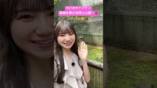 【加茂観光】NGT48藤崎未夢がリスとたわむれる!? #加茂山公園 #新潟
