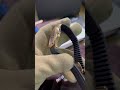 الفرق بين المقلد والاصلي باتك فيليب الاكونت    