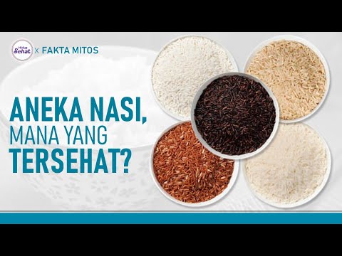 Types Of Nasi