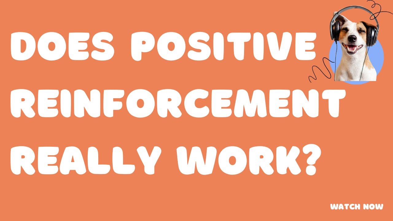 Pawsitive Training: Empowering Humans and Dogs through Positive Reinforcement