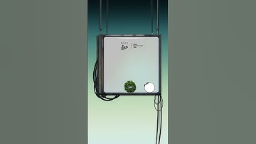 the bittercup lab | daily log 122