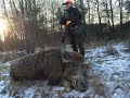 Driven hunt with Huntingpol, Drivjagt, Drevjakt, Druckjagd, La batue, www.huntingpol.eu,