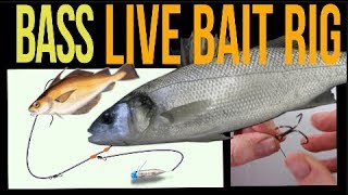 Sea fishing rig guide - Bass Live bait rig 