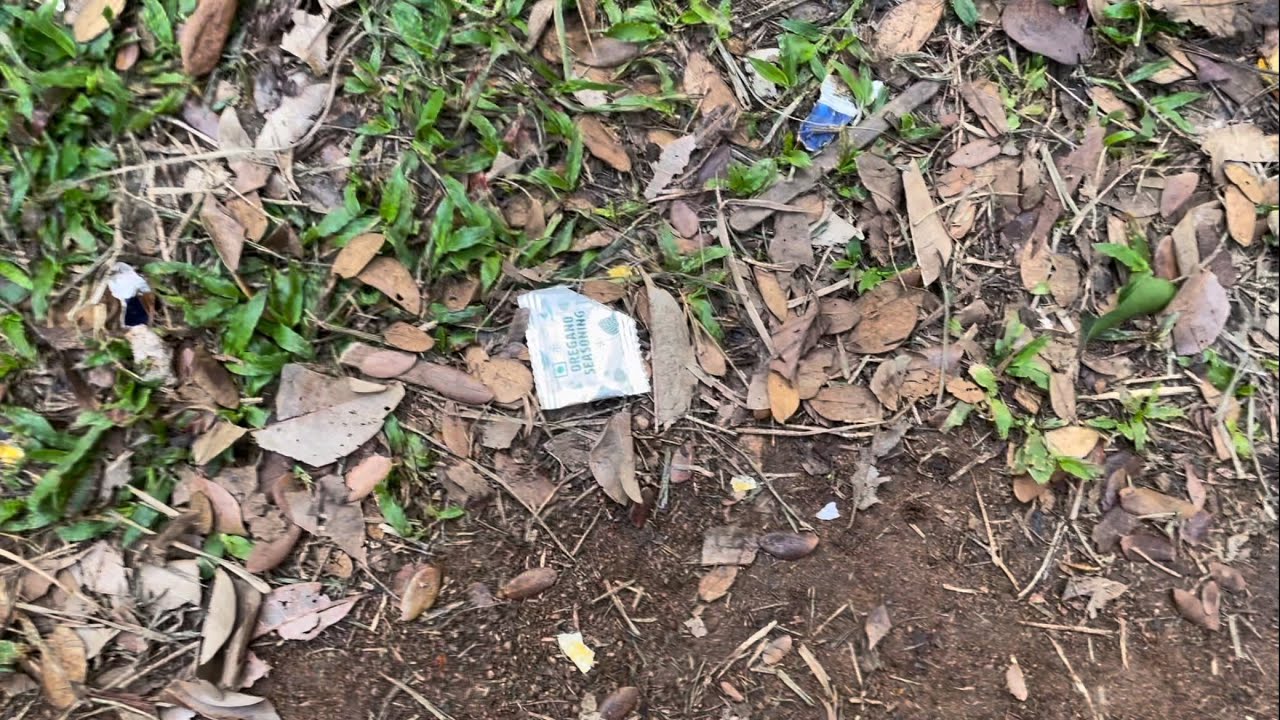 Domino’s Ad in Lalbagh 