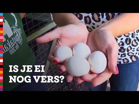 Video: Hoe test je eieren op versheid?