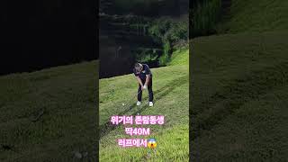 위기의 존람동생😱#골프#골프존#스크린골프#NX#골프존cc#필드#필드골프#필드레슨#웨지#퍼터#아이언비거리#골프레슨#숏게임#숏아이언#드라이버#롱아이언#우드#유틸 #golf