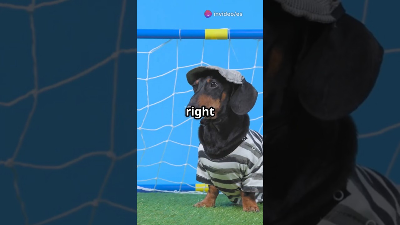 "Funniest Football Moment You’ve Never Seen!"