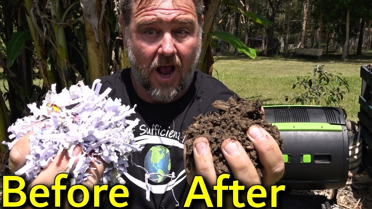 How To Turn Shredded Paper Into Compost Garden Plant Food