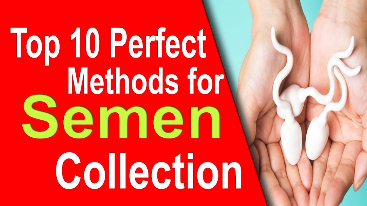 Top Perfect Methods For Semen Collection Analysis Sperm Count Steps