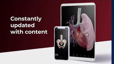 Visible Body | What is VB Suite?