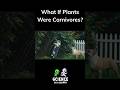 What If Plants Were Carnivores?