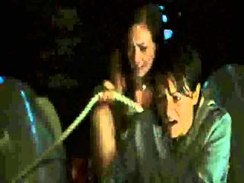 Donkey Punch - Firework