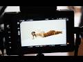 Tinashe - Too Easy (Behind The Scenes)