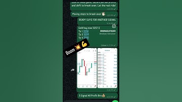 Gold XAU/USD Signals | All Trades in Profit! FREE Signals in My WhatsApp Group 💸 (Live Proof)