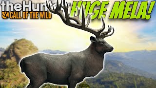 MY DREAM RARE! Hunting My BIGGEST Melanistic Red Deer On The Great One Grind! Call of the wild