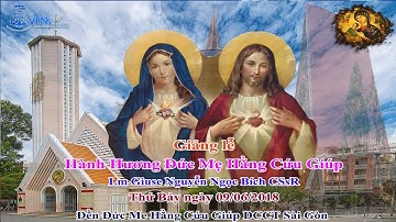 Giảng Lễ Hành Hương Kính Đức Mẹ Hằng Cứu Giúp – Lm Giuse Nguyễn Ngọc Bích CSsR 09/06/2018