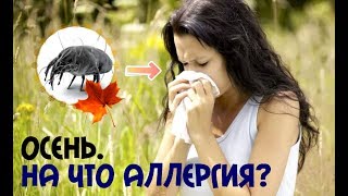 На что может быть аллергия осенью в сентябре? Основные аллергены осенью!
