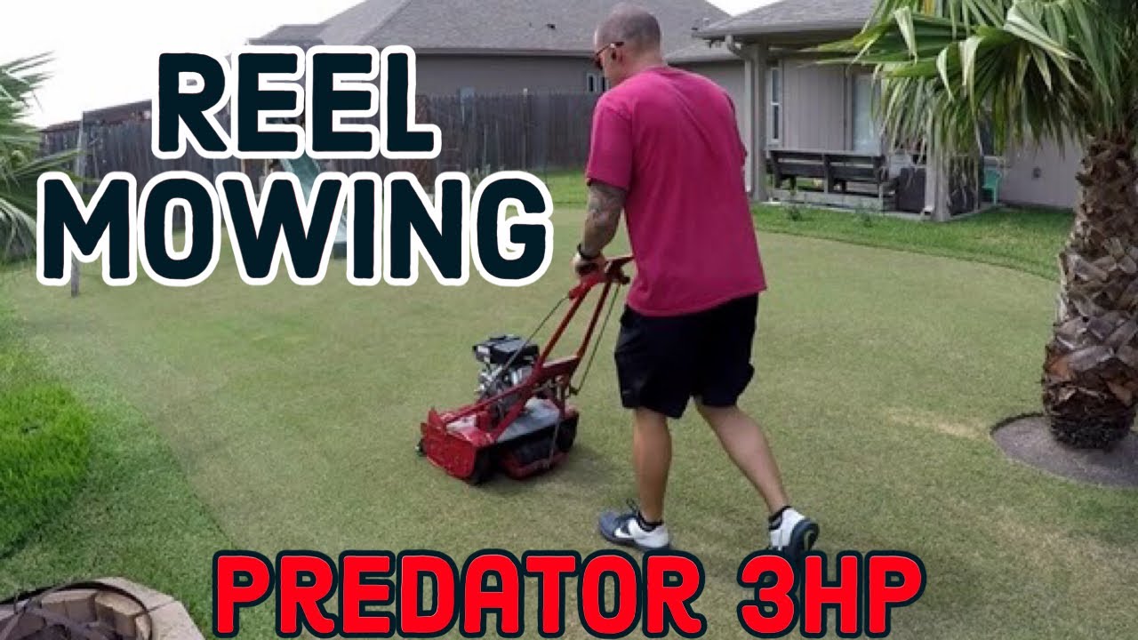 Just Reel Mowing First Reel Mow With Predator 3HP YouTube just-reel-mowing-first-reel-mow-with-predator-3hp-youtube
