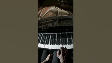 Thumbnail of Playing 17 Hands in first person (on my #yamaha #disklavier)
