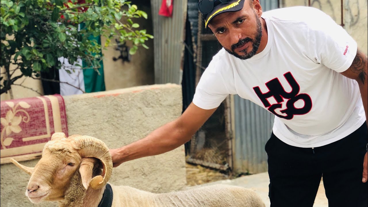 سلالة Love Love في بنزرت حوار مع وليد العويني 🤔