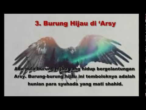 Inilah Hewan  yang Hidup di  Langit  Ke Tujuh YouTube