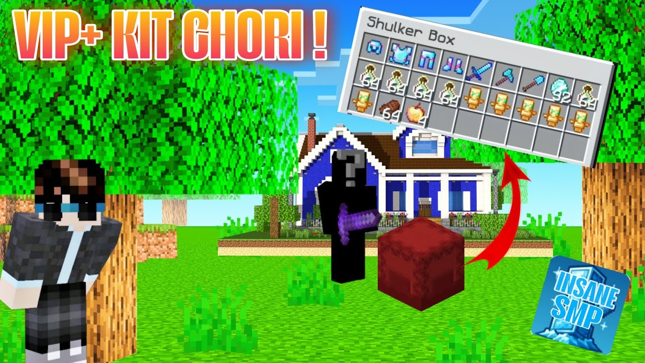 Came to Build a House… Lost Everything 😔 | INSANE SMP