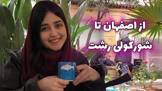 تعطیلات چجوری میگذرهرشت گردیهایپر مارکت دیلمان