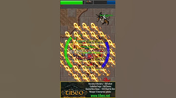 CATACOMBS!#shorts #tibia #tibiapvp #cipsoft #2dgames #tibiame #mmorpg