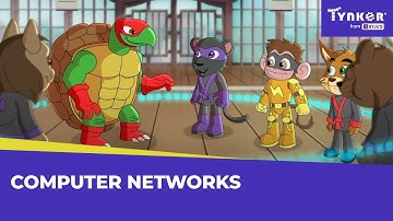 What are Computer Networks? | All About Computers | Tynker