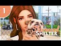 🐾 The Sims 4: Sherwood Shelter | Part 1 (S1) - PAWS & AMBITIONS 🐶