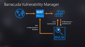Как защитить веб-приложения и сайт от киберугроз. Barracuda WAF