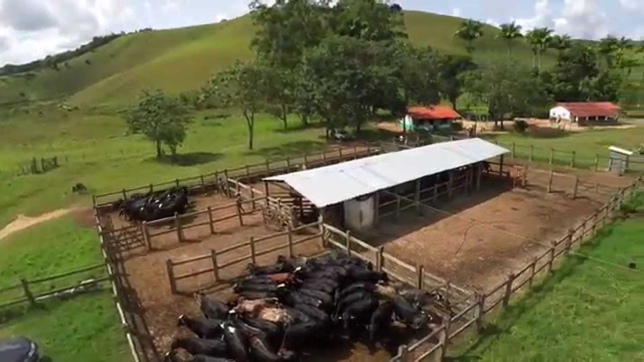 Fazenda Pedras do Arenal