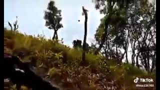 ပိုၼ်းႁၢင်ႈႁၢႆႉတႆး SSPP RCSS ( Shan movies )