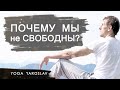 Почему МЫ не СВОБОДНЫ ? Узнай это !