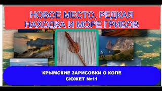 Новое место. Очень редкий наконечник и море грибов