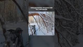 СНЕГОХОД СТАЛКЕР | ЛУЧШИЙ ДЛЯ ЛЕСА! ПОЛНЫЙ ОБЗОР