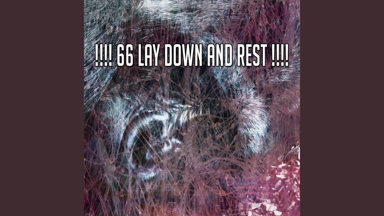 Lull Into Quiet YouTube