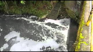 Quebrada La Dulcera Pereira Denuncia