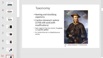 NU Bio 203 Ch 1 OpenSTAX