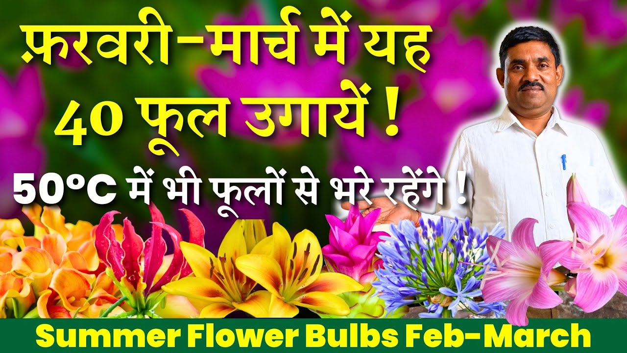 फ़रवरी-मार्च में यह 40 फूल उगायें || 50°C में भी फूलों से भरे रहेंगे | Summer Flower Bulbs Feb-March