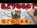 【捨て猫】捨ててあった子猫のその後【保護して3日目】