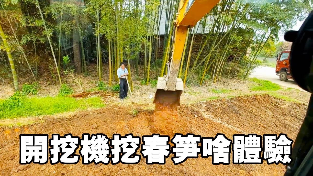 陳師傅幫腿腳不便東家鬆土！用挖機挖春筍時鏟斷竹根防礙種地，看 70 歲老人可憐少收工錢
