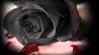 Download Lagu Dj Black Planet -----|-- Black Rose (Parte terza- finale) MP3