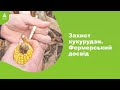 Захист кукурудзи. Фермерський досвід. #Агроподорож ADAMA.