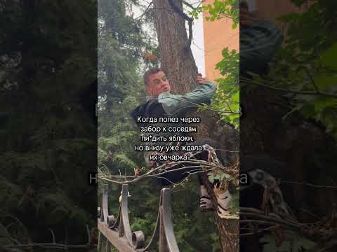 ПОДПИШИСЬ‼️ ПОМОГИ МНЕ ДОБИТЬ 3000 ПОДПИСЧИКОВ🔥 #юмор #pov #жиза #прикол #рекомендации